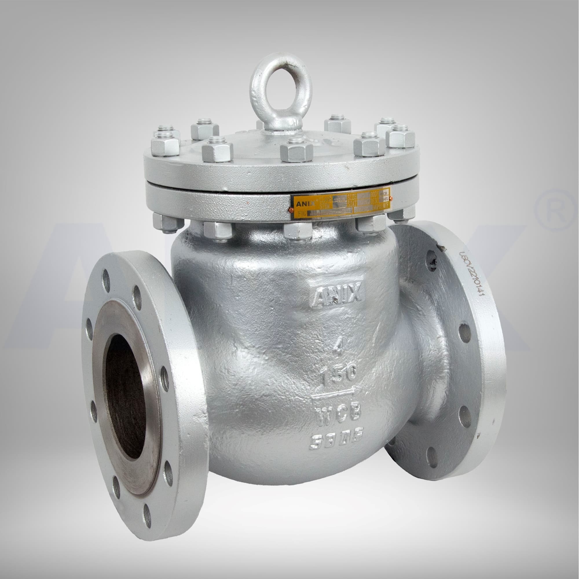 Picture of ANIX Carbon Steel Swing Check Valve - RF, Trim 8, Class 150 / 300 / 600