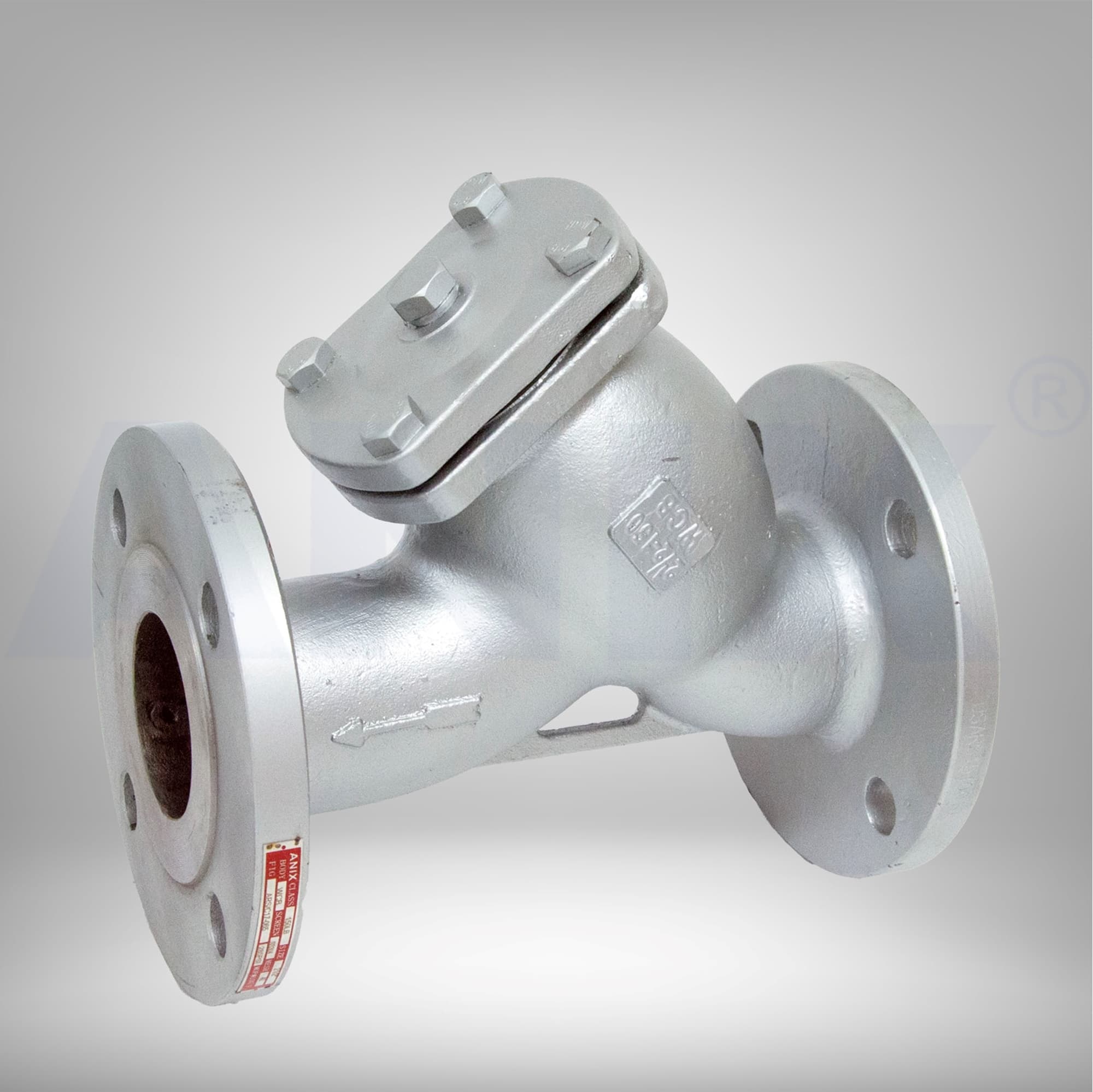 Picture of ANIX Carbon Steel Y strainer Class 150 / 300 RF