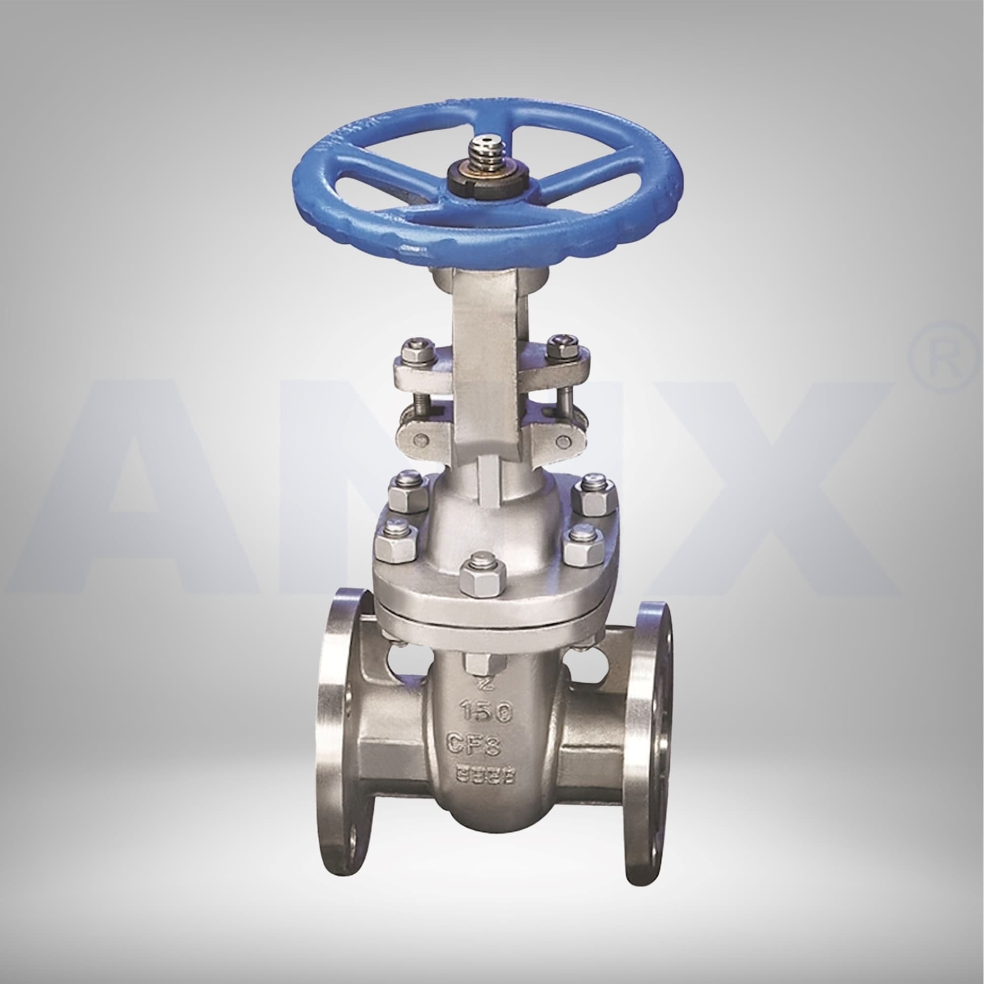 Picture of ANIX Stainless Steel Gate Valve Class 150 / 300 RF