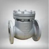 Picture of ANIX Carbon Steel Swing Check Valve - RF, Trim 8, Class 150 / 300 / 600