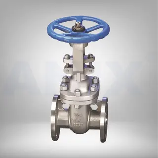 Picture of ANIX Stainless Steel Gate Valve Class 150 / 300 RF