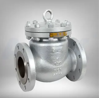 Picture of ANIX Carbon Steel Swing Check Valve - RF, Trim 8, Class 150 / 300 / 600