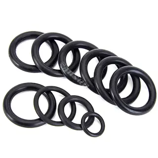 Sanitary DN11851 union Radius Type EPDM Gasket Seal