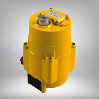 Picture of Smart Electric Actuator